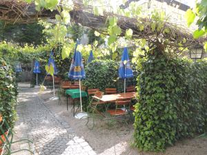 Weingarten und seine grünen Hecken